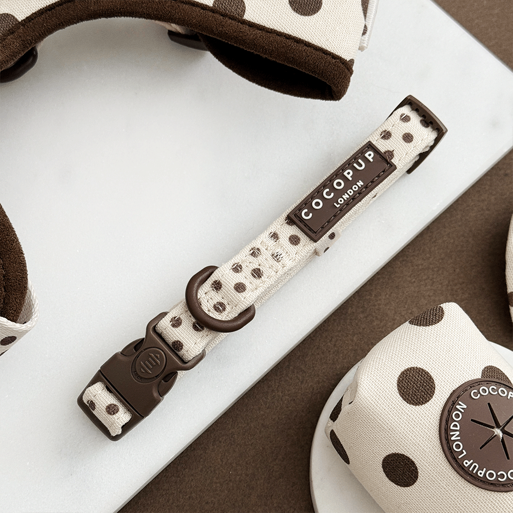 Tiramisu Polka Dot COLLAR