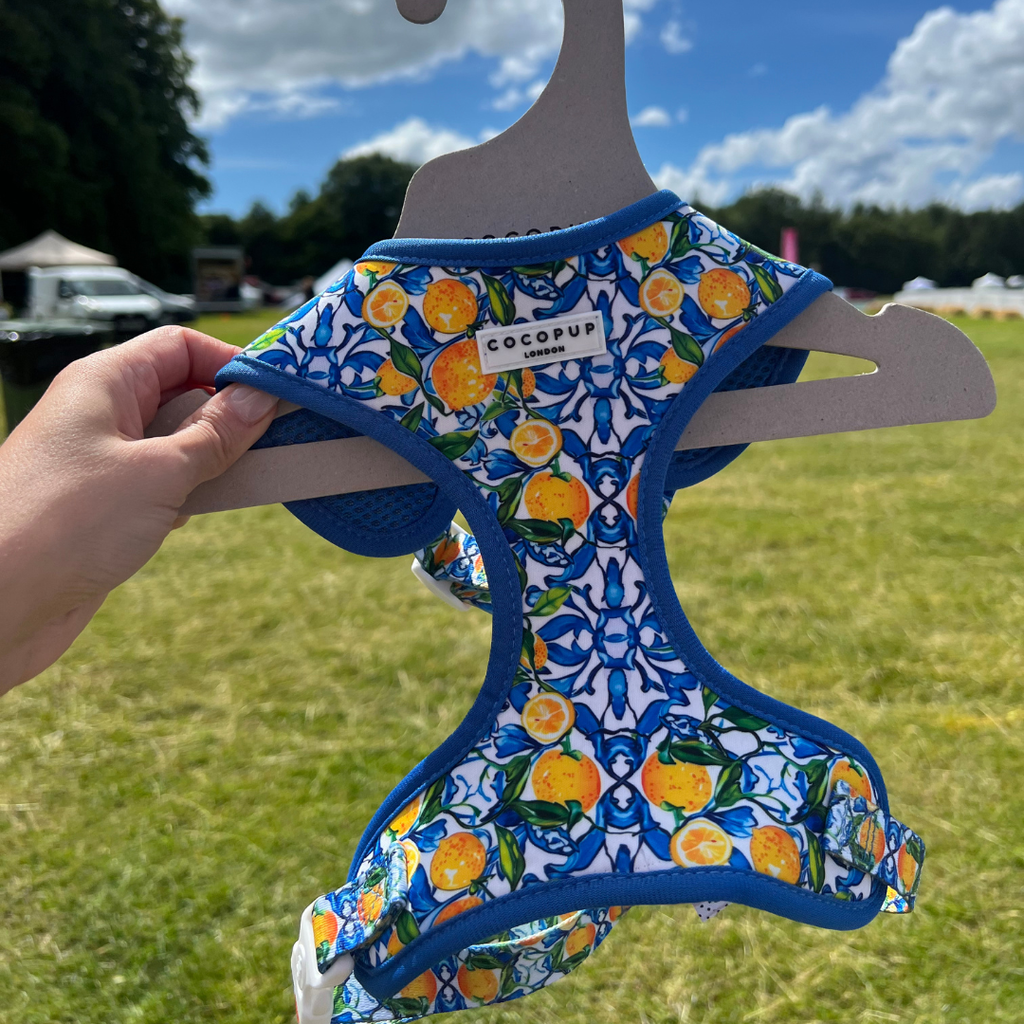 Amalfi Lemon Adjustable Neck HARNESS