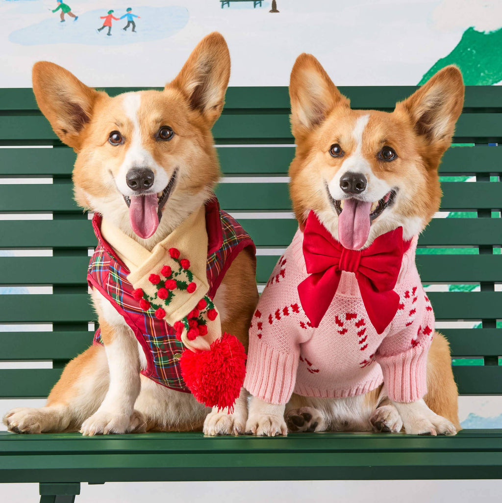 Pink Candy Canes Dog Sweater