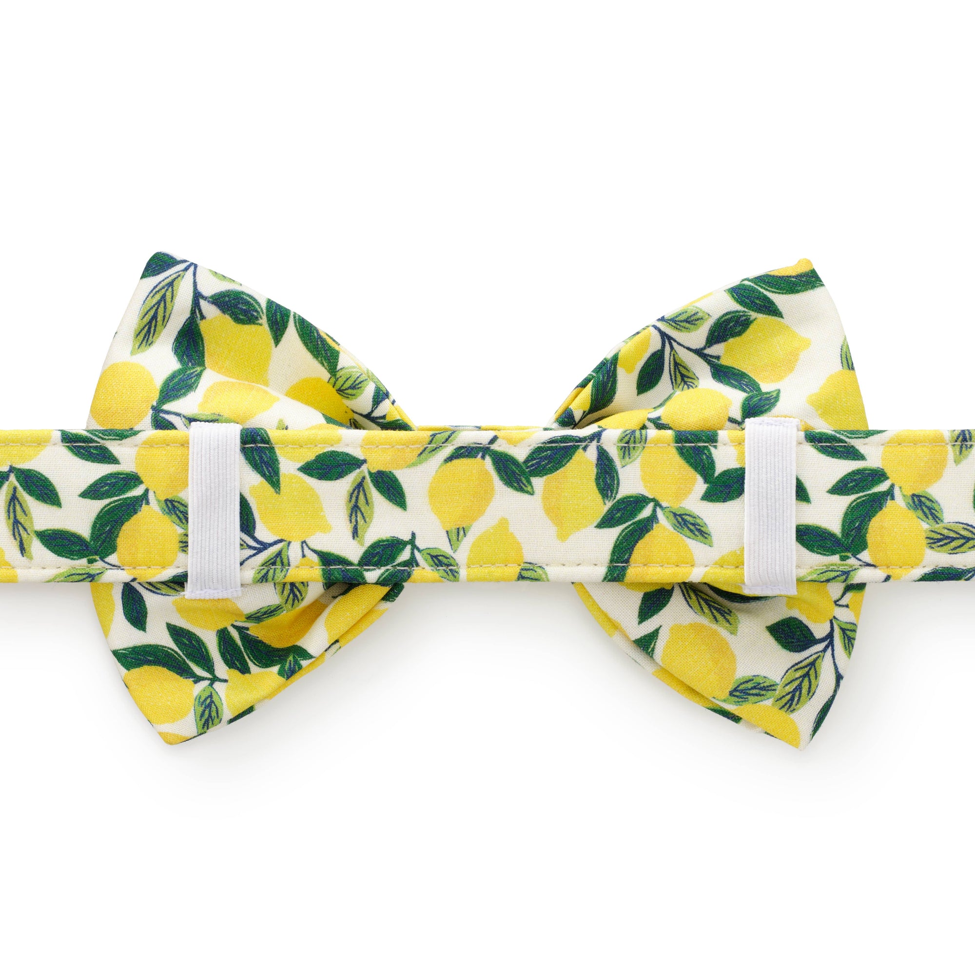 Lemon Zest Dog Bow Tie