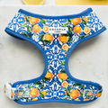 Amalfi Lemon Adjustable Neck Dog Harness