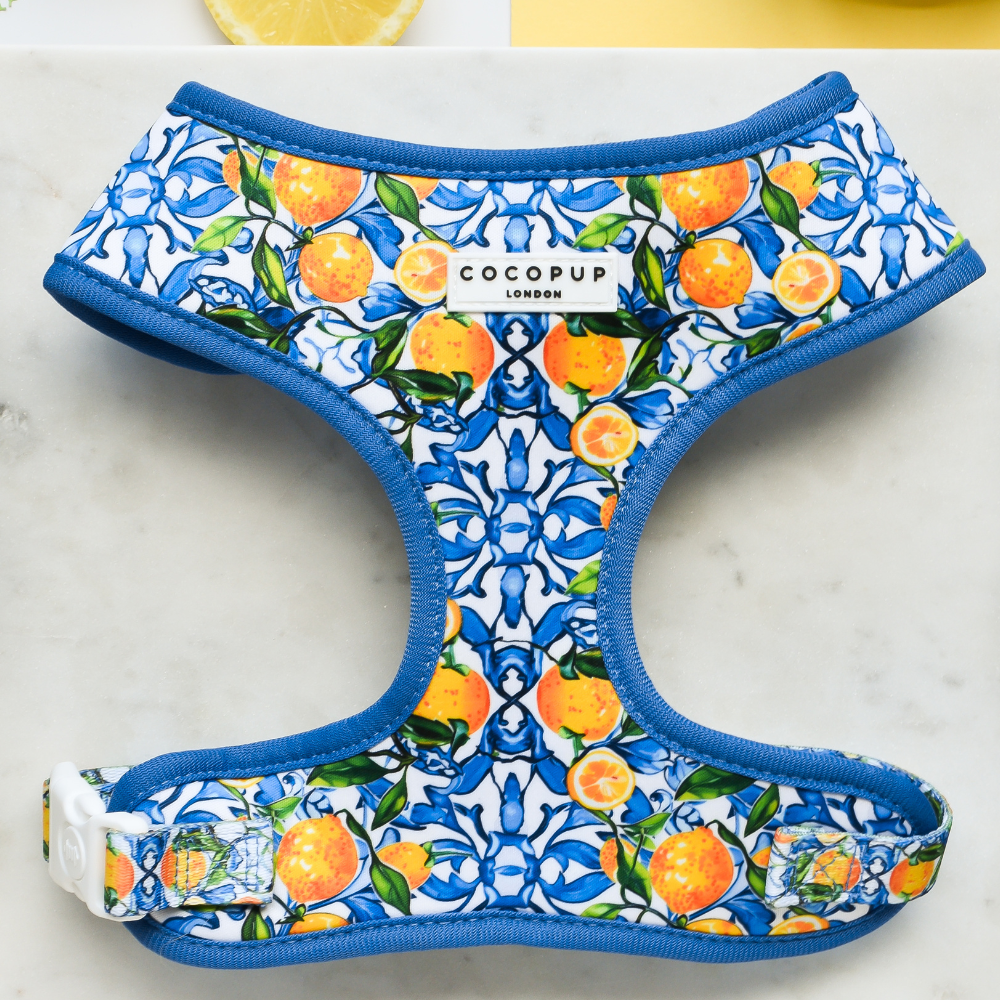 Amalfi Lemon Adjustable Neck Dog Harness