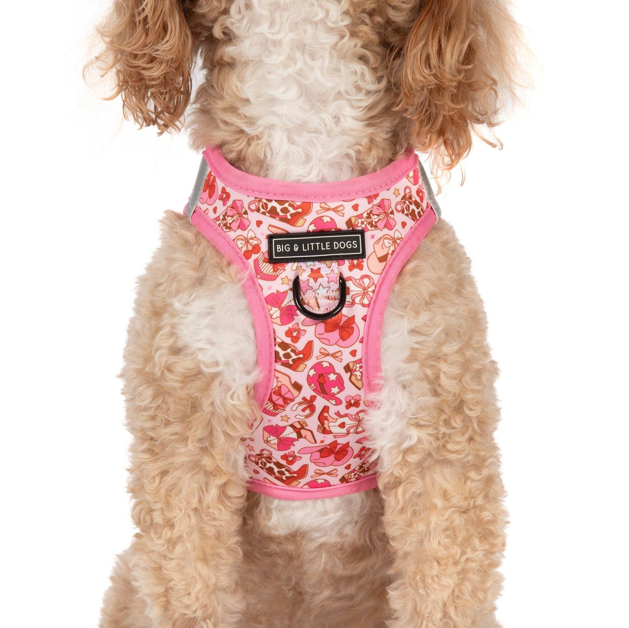 Rodeo Queen step-in dog harness