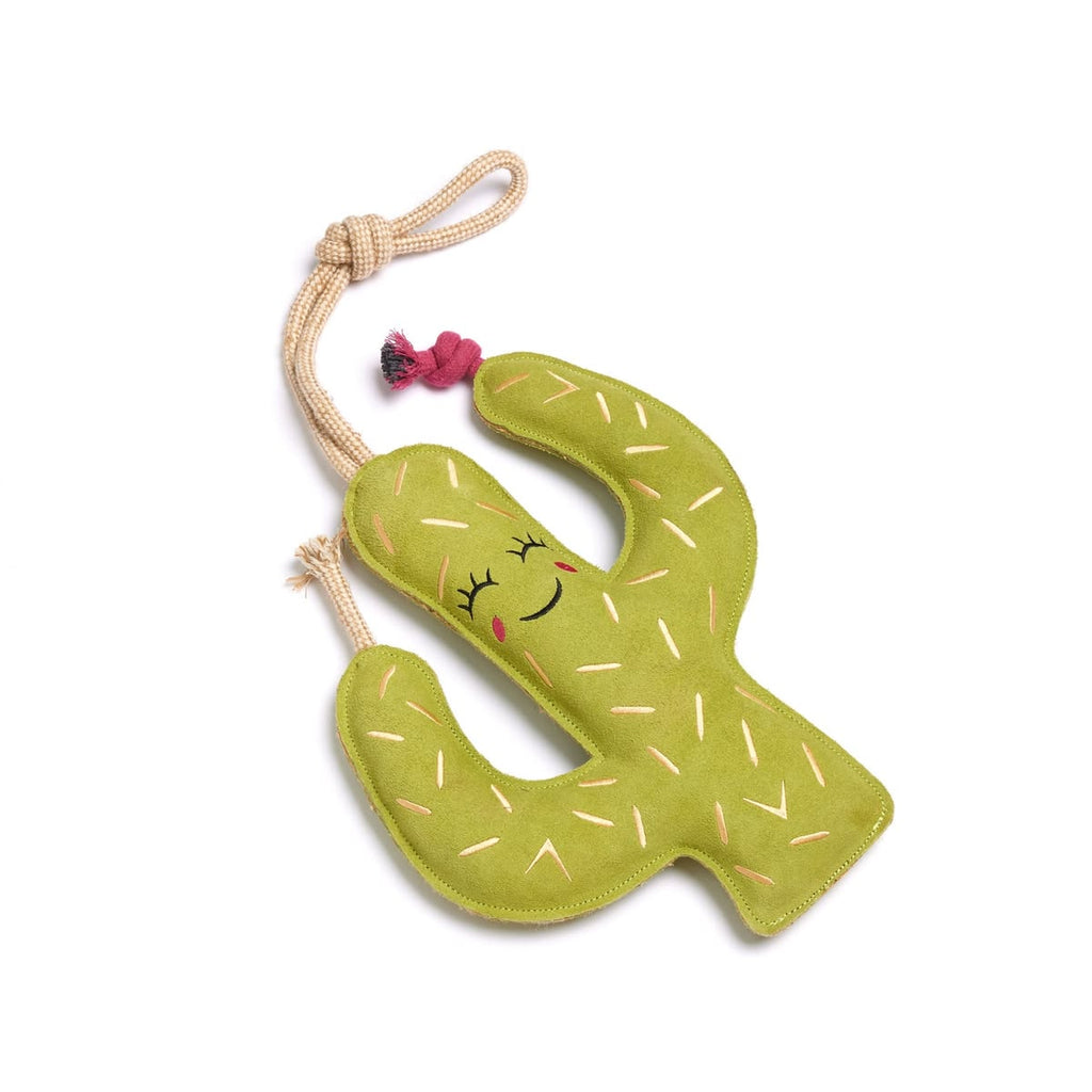Prickly Pam Dog toy-eco toy