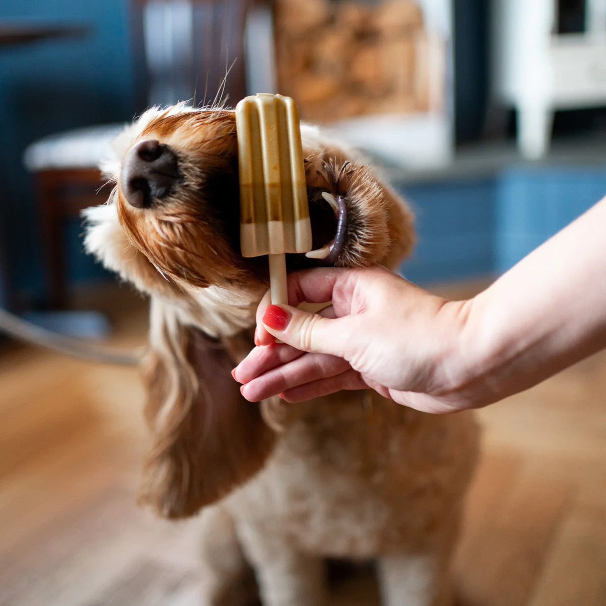 Pup ice peanut butter Lolly