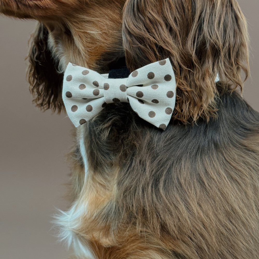 Tiramisu Polka Dot Dog Bow Tie