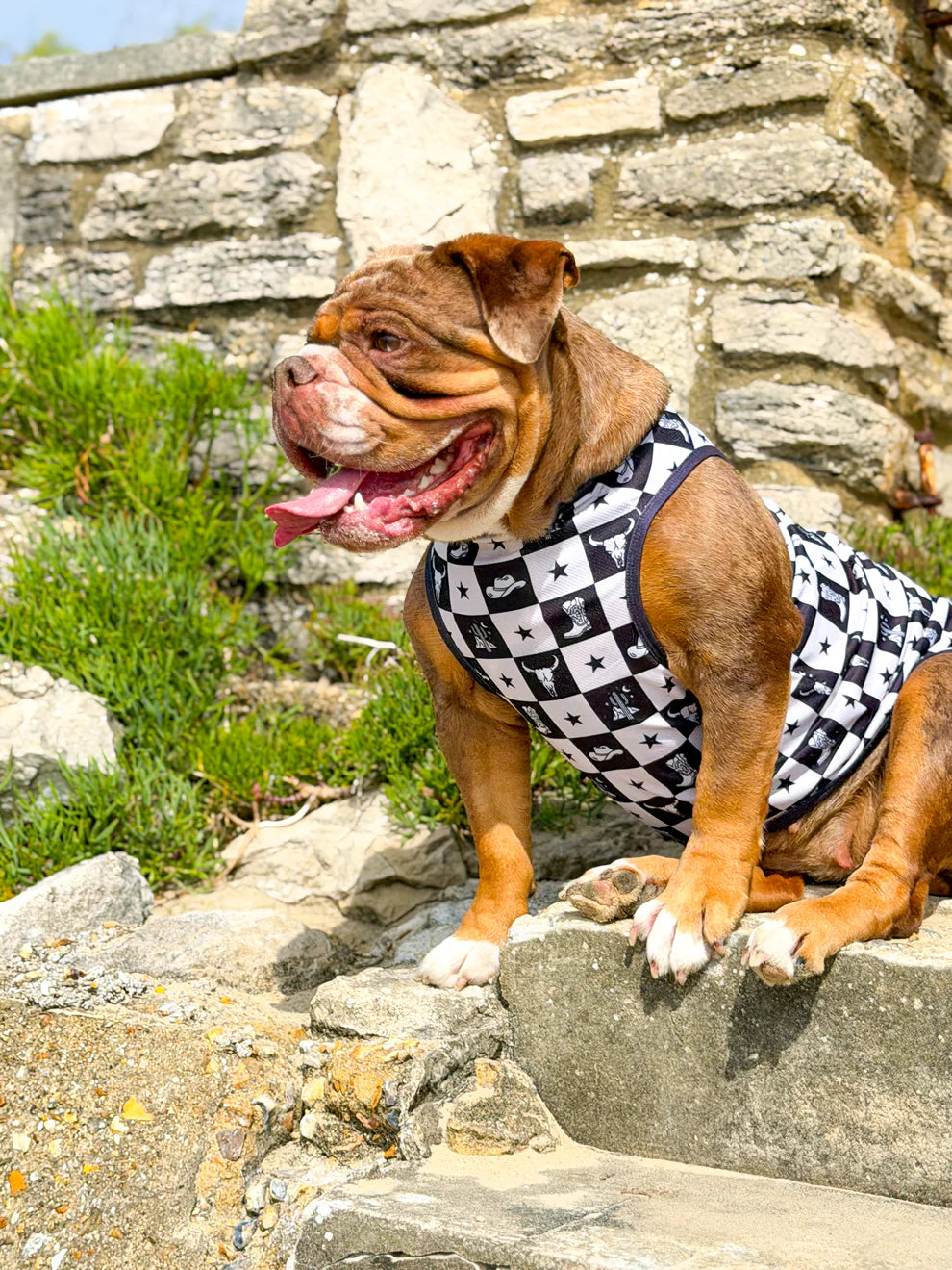 The Wild West Cooling Vest