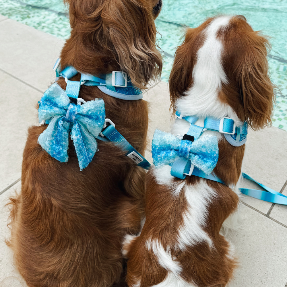Seaside Shimmer Sailor Bow Tie