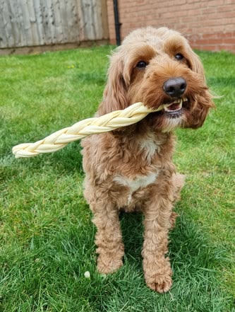 Braided Lamb - large