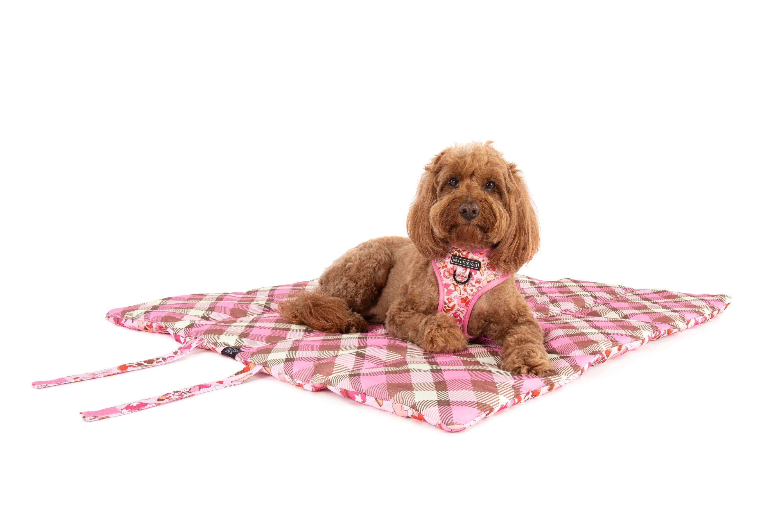 ON-THE-GO PET MAT: Rodeo Queen