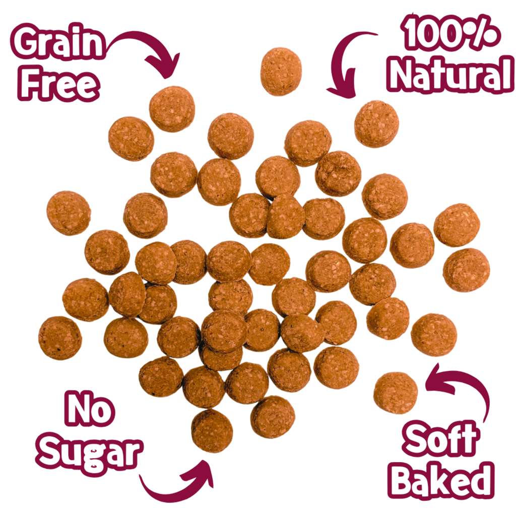 Nibbles Pigs in Blankets 100g