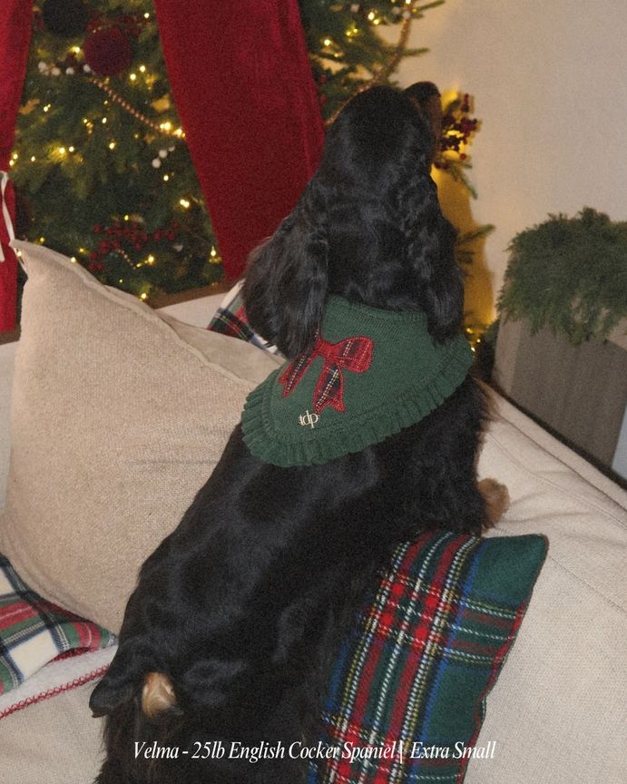 Kensington Bow bandana