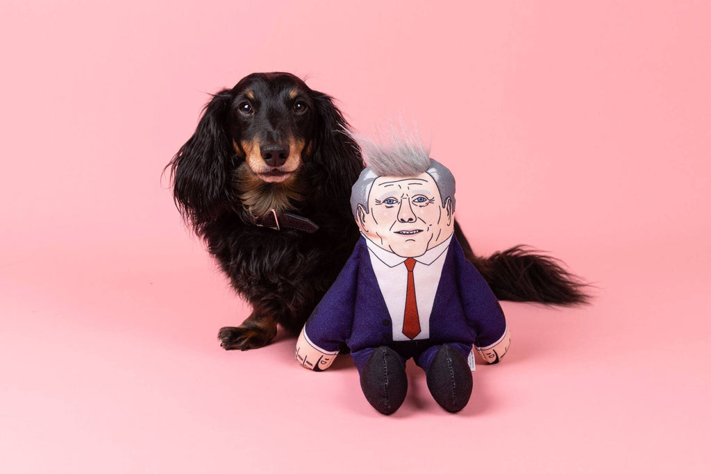 Keir Starmer Dog Toy