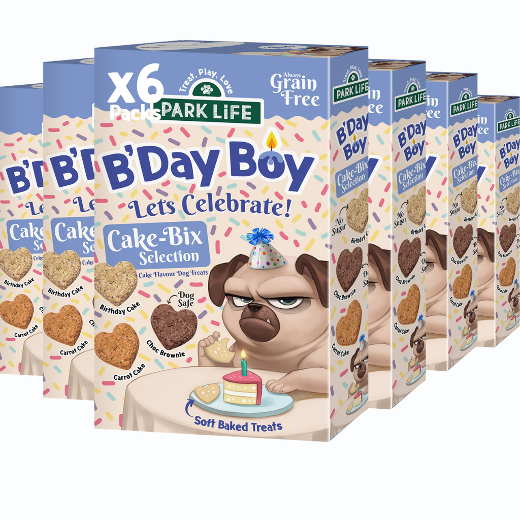 Cake-Bix B'Day Boy Cake Selection 240g