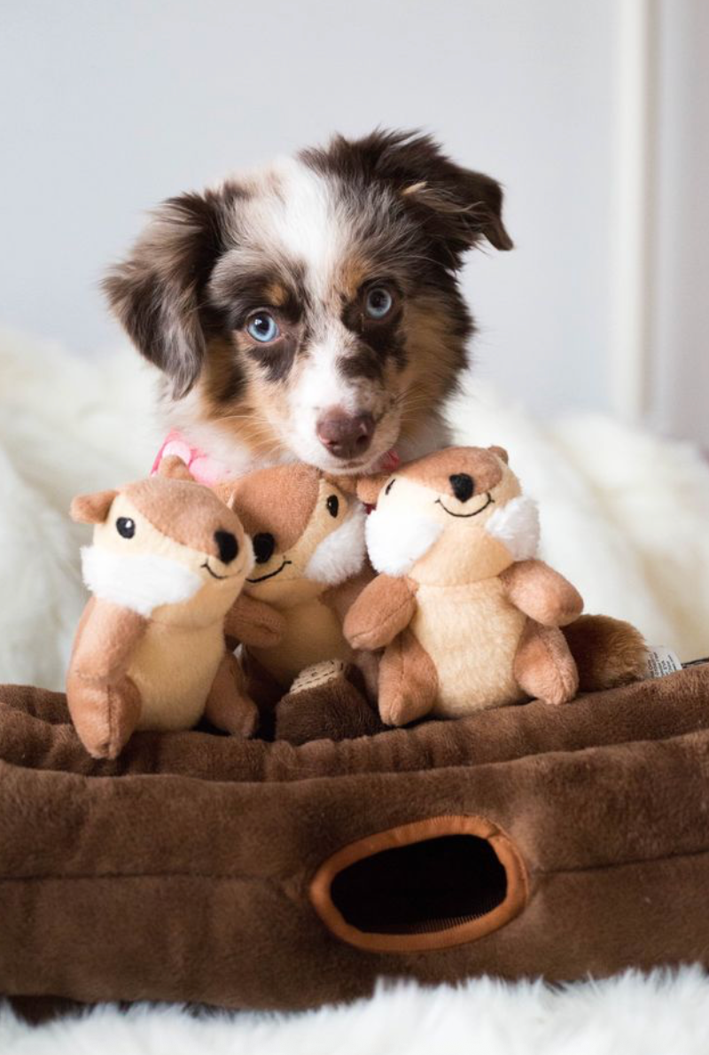 Zippy Burrow - Burrow Log with 3 Chipmunks - Dog Toy