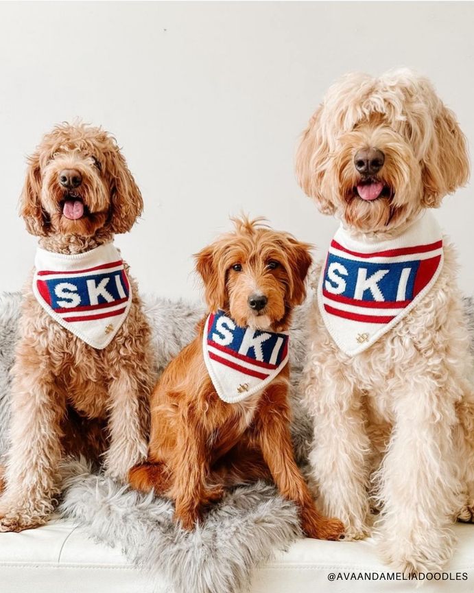 Aprés Ski bandana