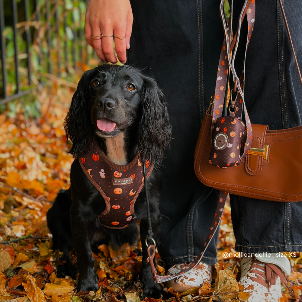 Boo Crew Adjustable Neck HARNESS