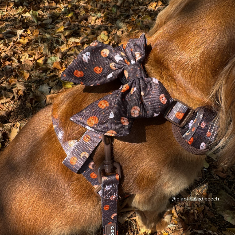 Boo Crew Sailor Bow Tie