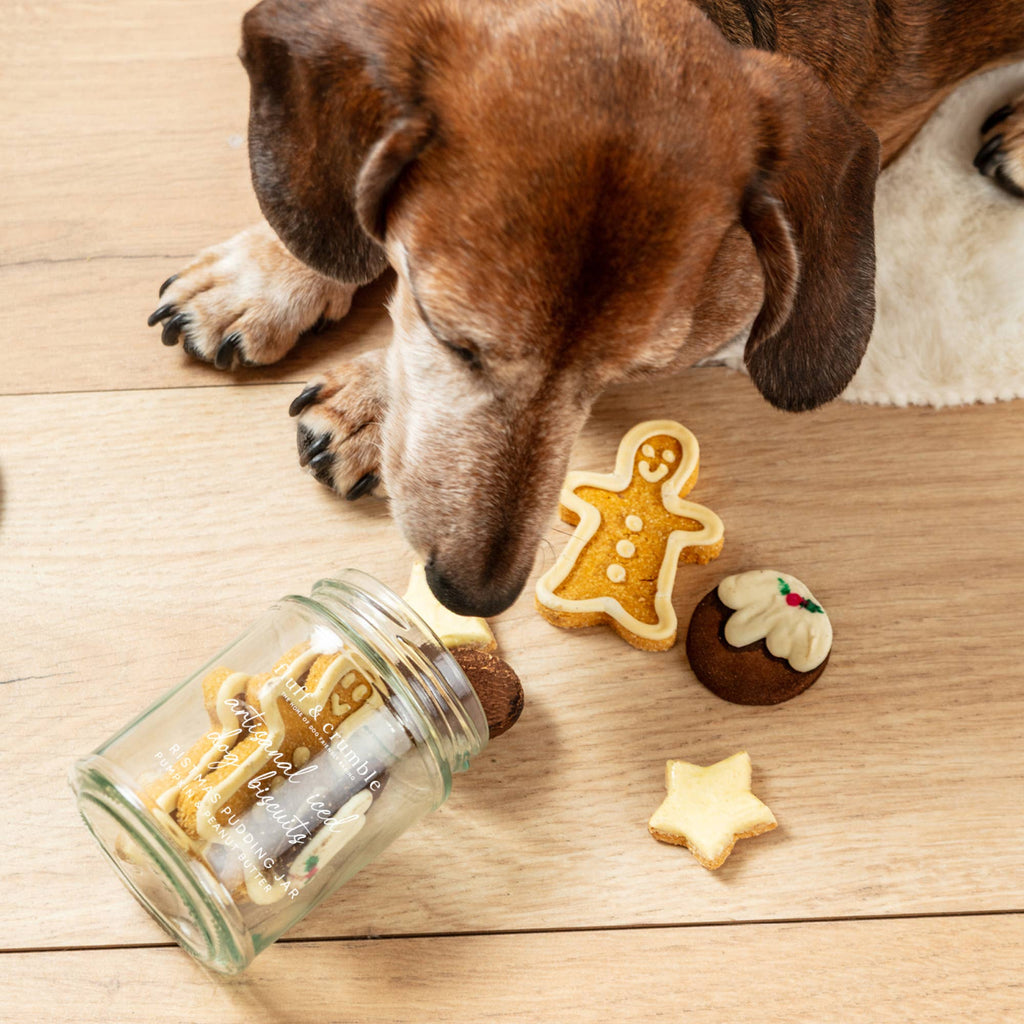 Christmas Pudding Iced Dog Biscuit Jar