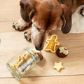 Christmas Pudding Iced Dog Biscuit Jar