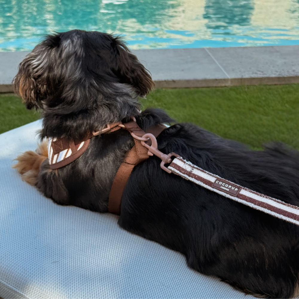 Brown & Blue Stripes Dog Lead