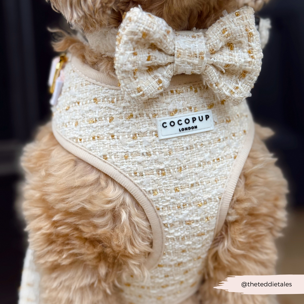 Vanilla Textured Tweed Adjustable Neck HARNESS