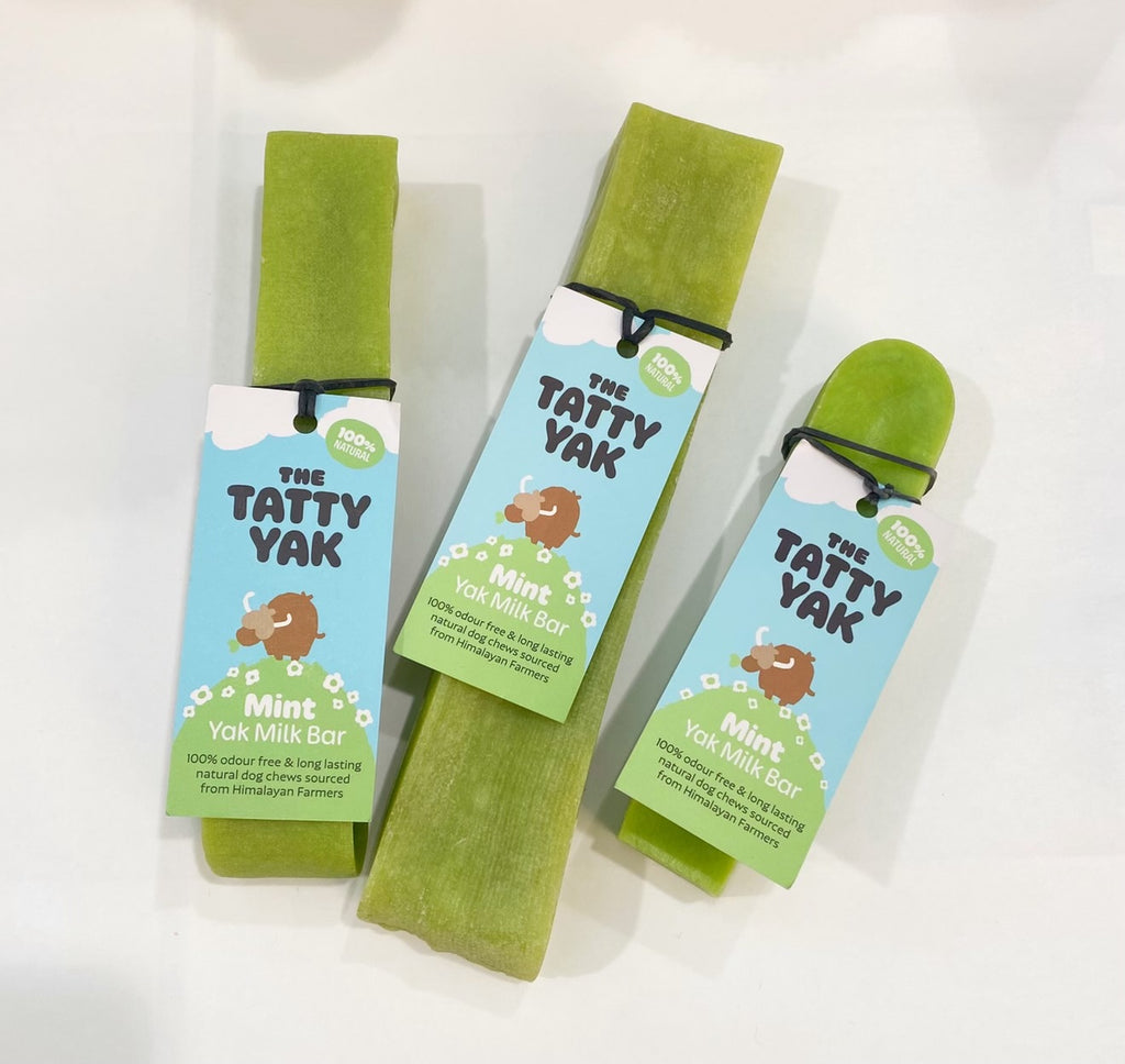Tatty yak milk bar for dogs mint