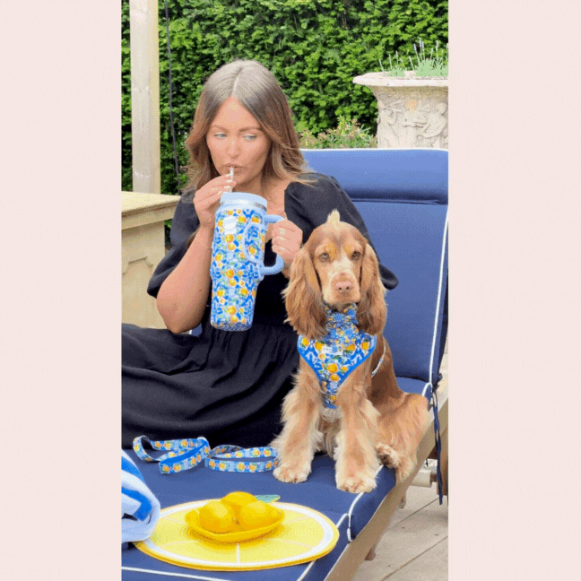 Amalfi Lemon Adjustable Neck HARNESS