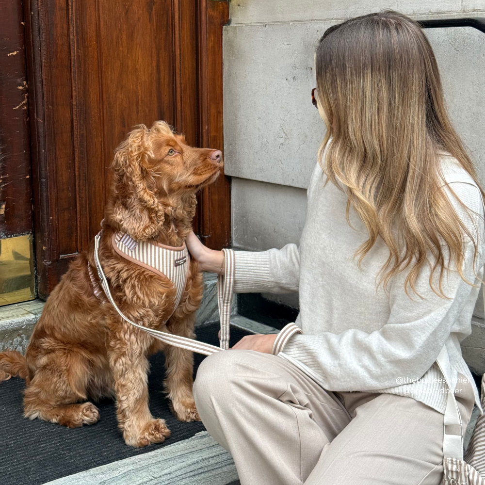 London Linen Stripes Dog Lead