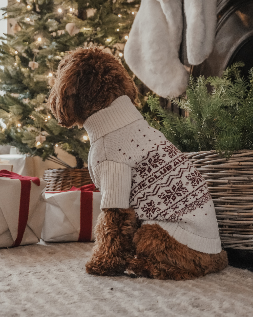 Snowberry | Après Ski Roll Neck Knit