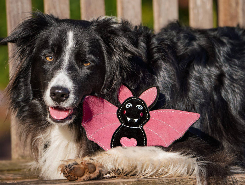 Halloween Bat NORA BATTY Eco Dog Toy