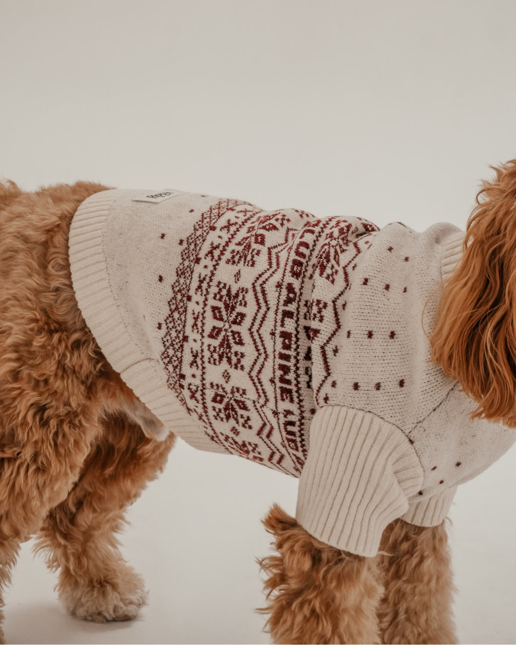 Snowberry | Après Ski Roll Neck Knit