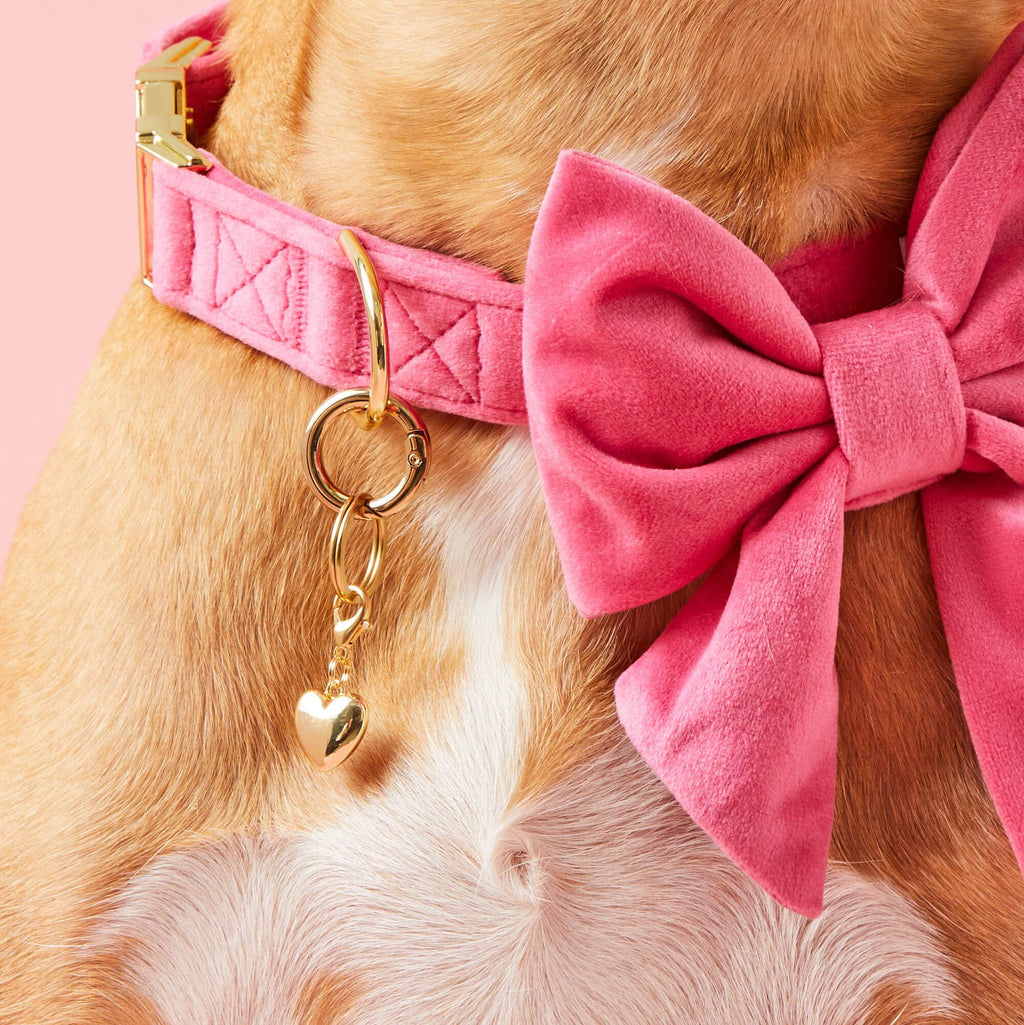 Heart of Gold Dog Collar Charm