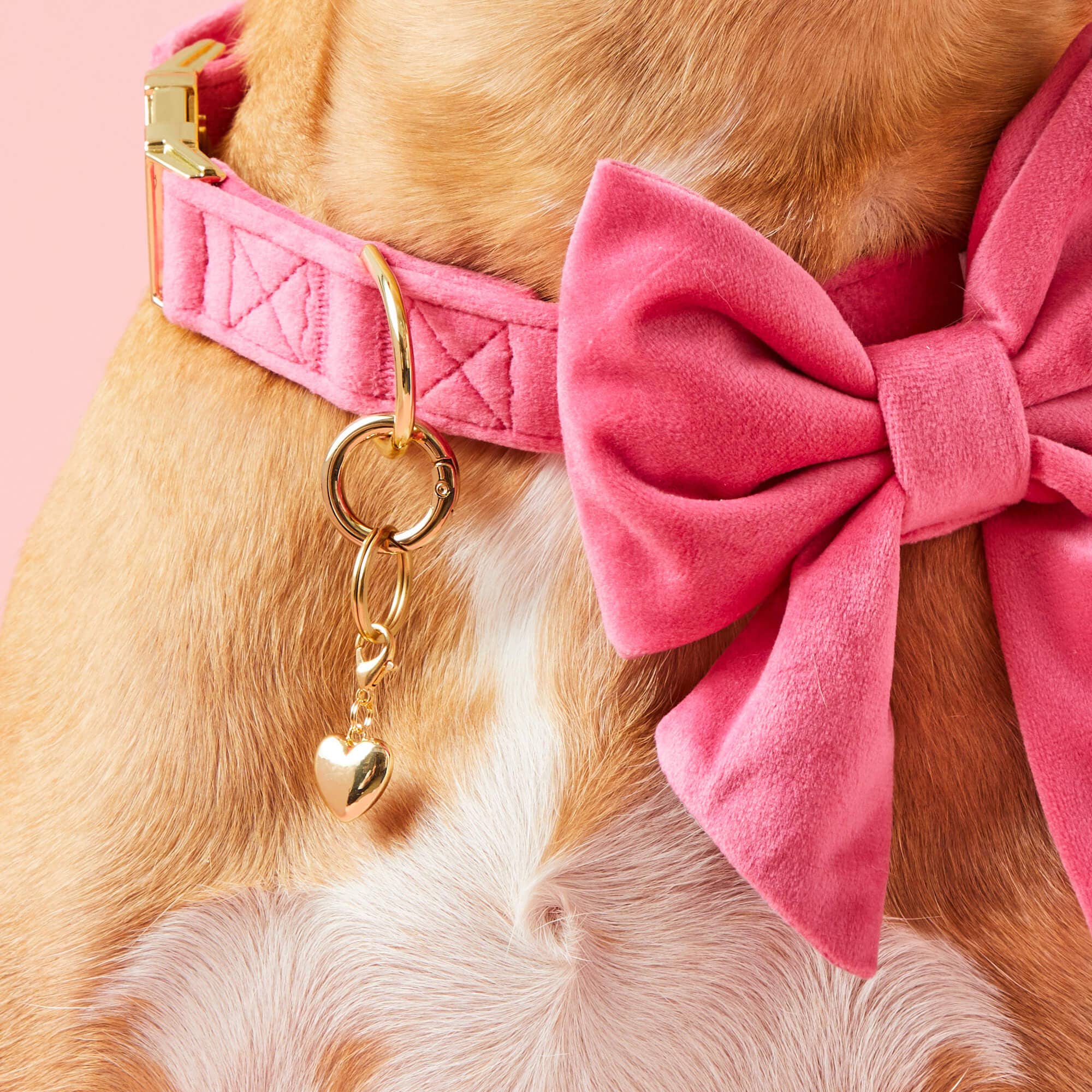 Heart of Gold Dog Collar Charm