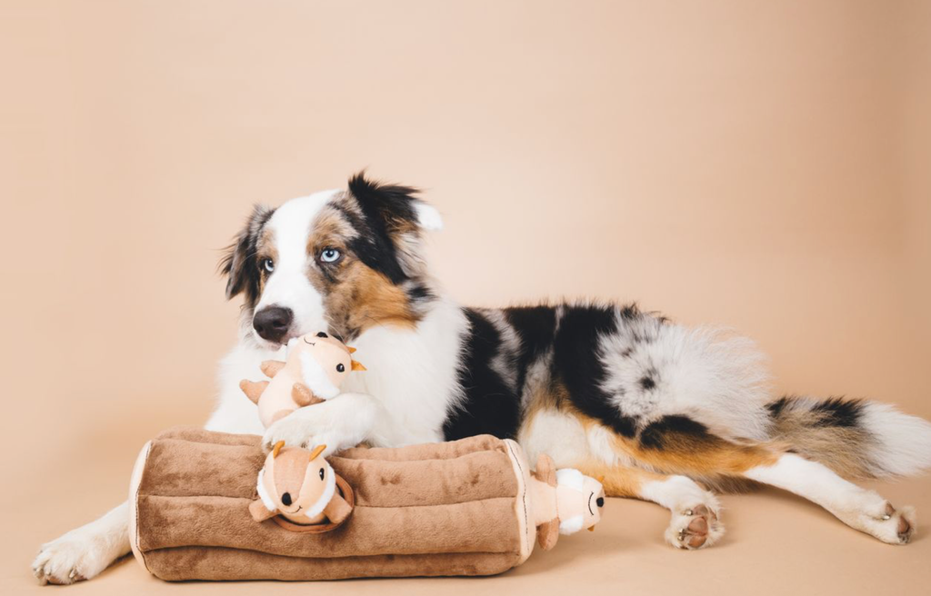 Zippy Burrow - Burrow Log with 3 Chipmunks - Dog Toy
