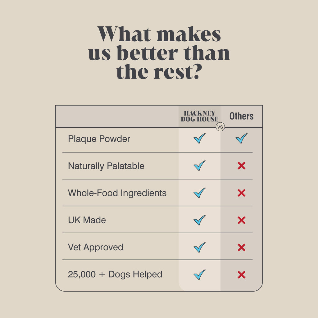 Plaque Seaweed Powder for Dogs | 80 Servings