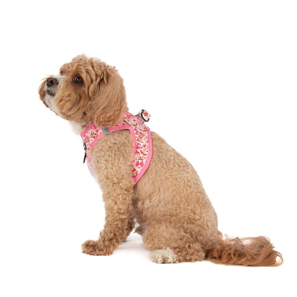 Rodeo Queen step-in dog harness