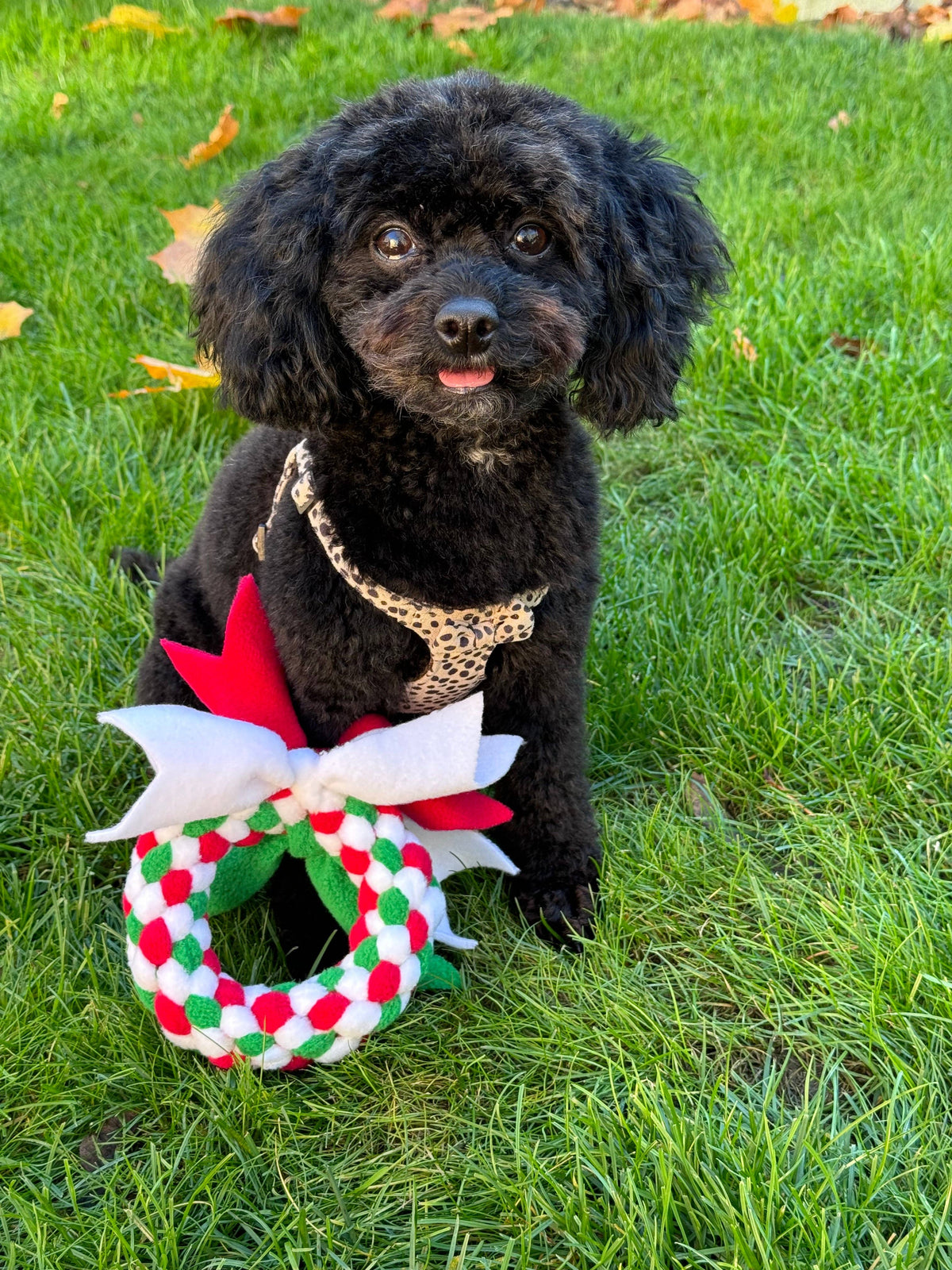 Festive Wreath Tugs (3 Sizes Available)