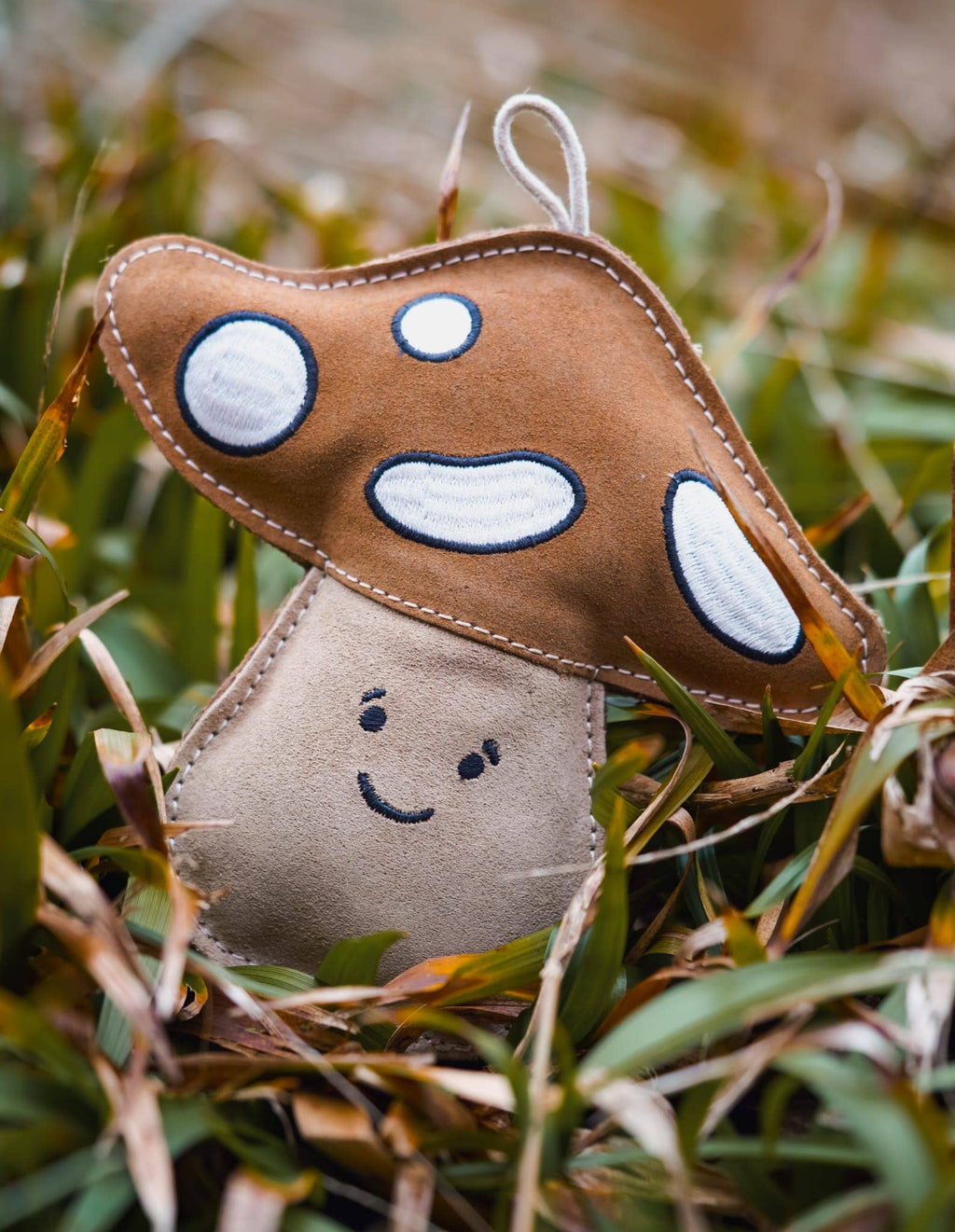 Chestnut the Mushroom