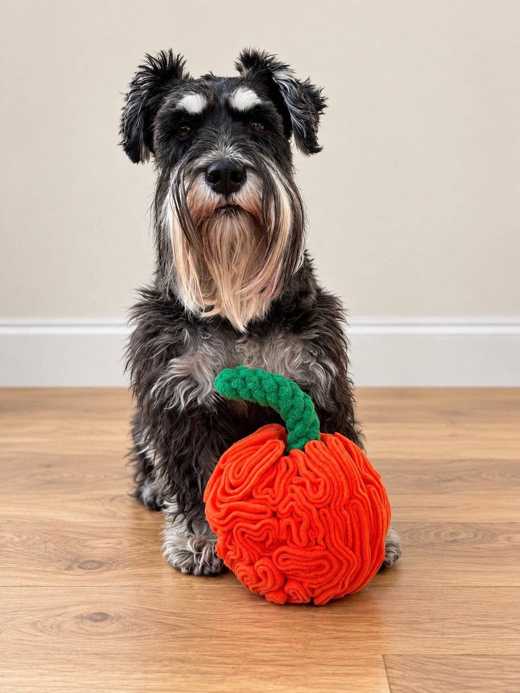 Pumpkin Snuffle Ball ( 2 Sizes Available)