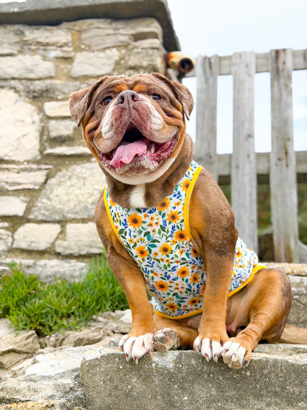The Sunflower Cooling Vest