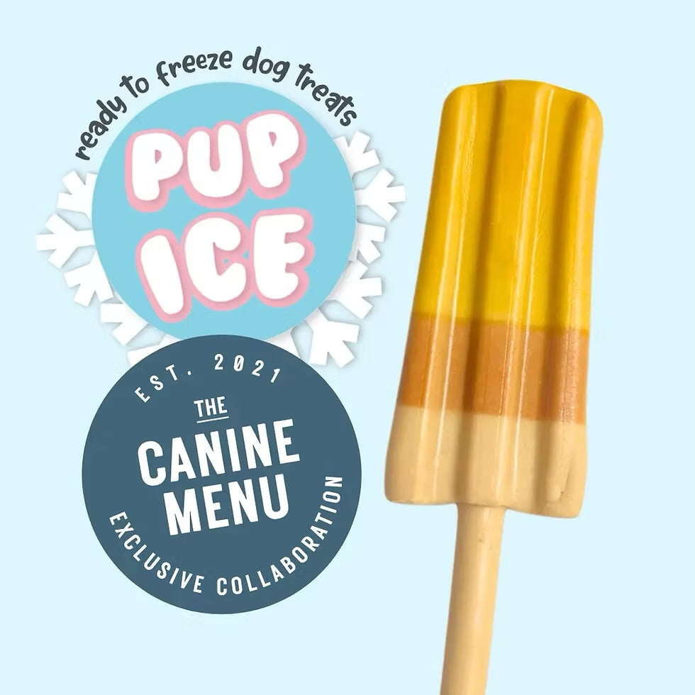 Pup ice peanut butter Lolly