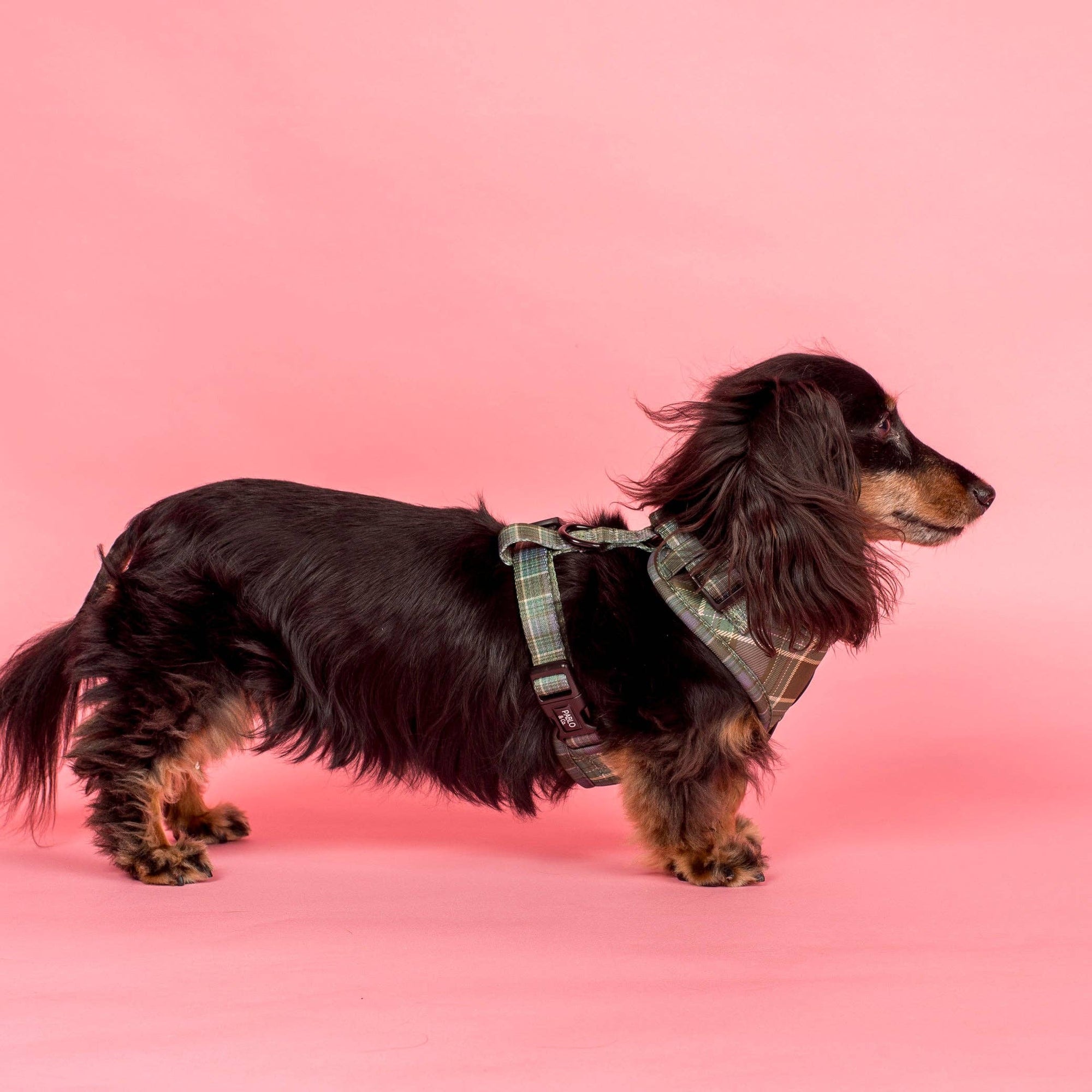 Green Plaid Adjustable Dog Harness