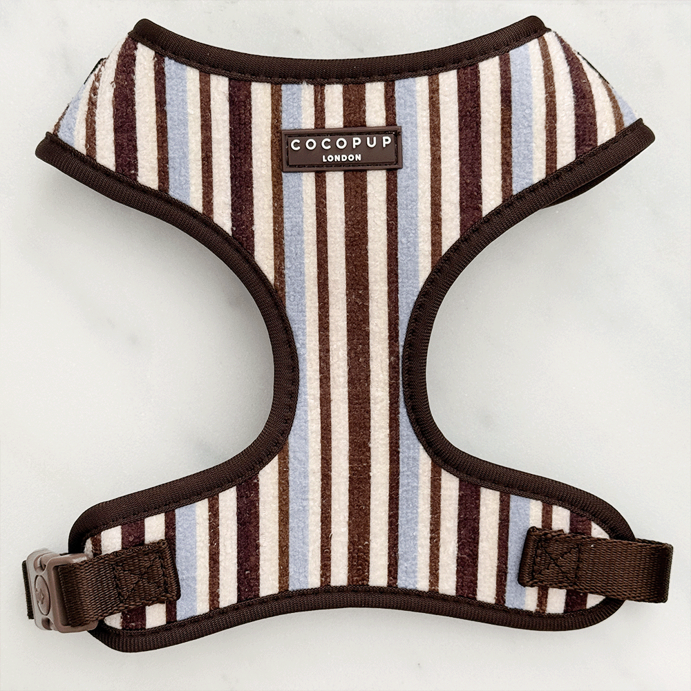 Brown & Blue Stripes Adjustable Neck  Dog HARNESS