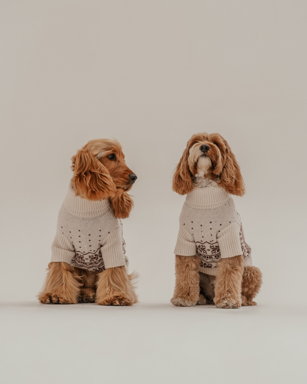Snowberry | Après Ski Roll Neck Knit