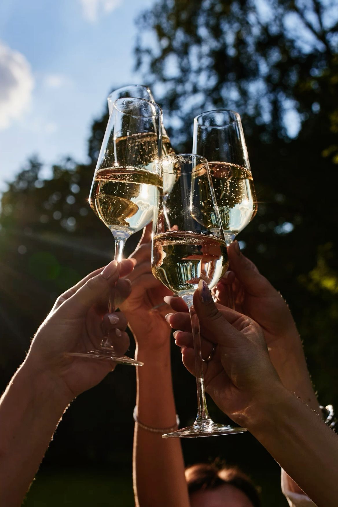 Daisy’s Bluebells and Bubbles dog walk