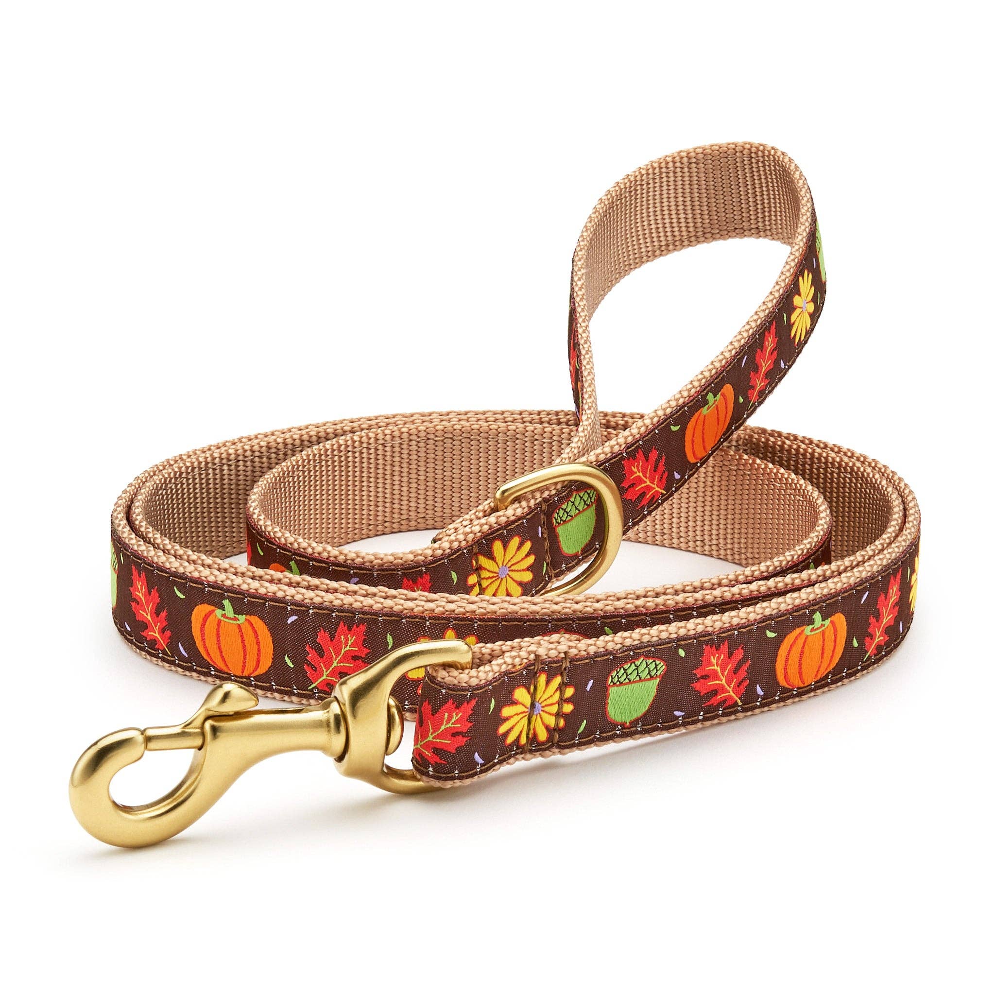Harvest Time Thanksgiving Dog Lead