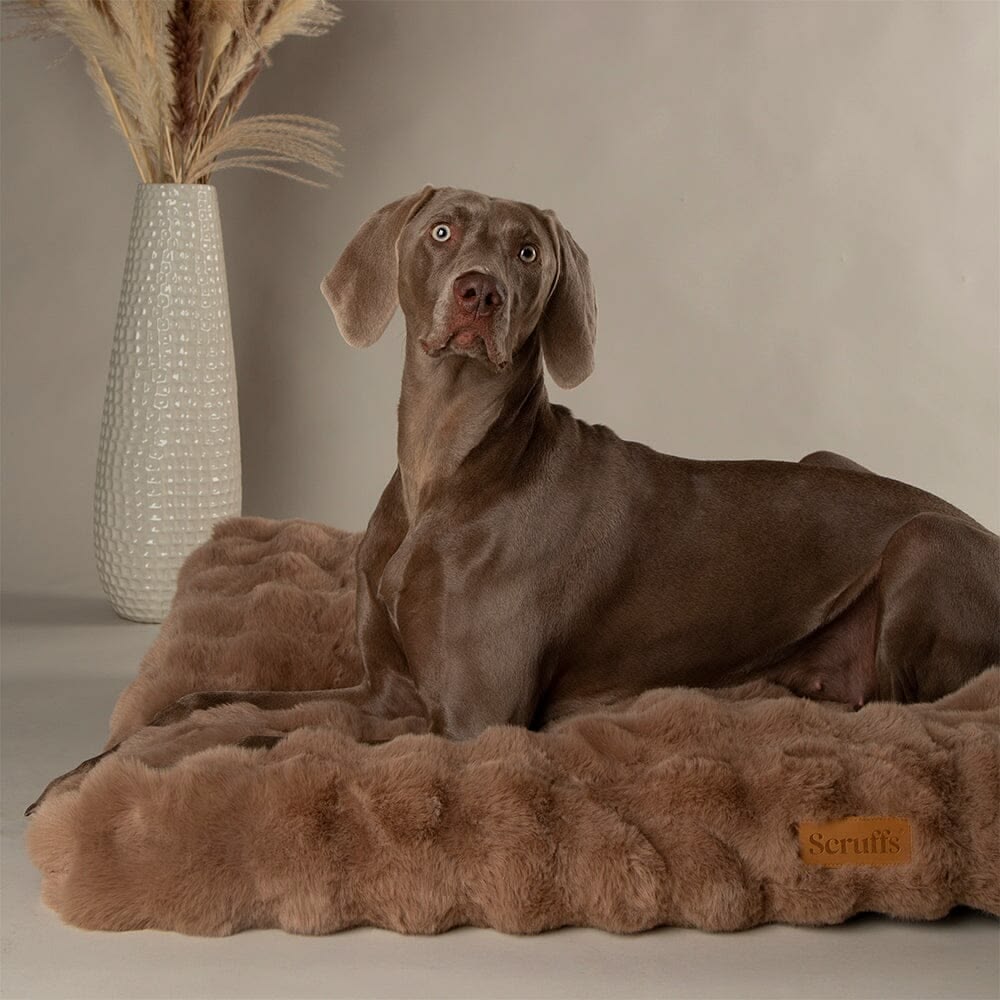 Scruffs Taupe Alpine Mattress Dog Bed