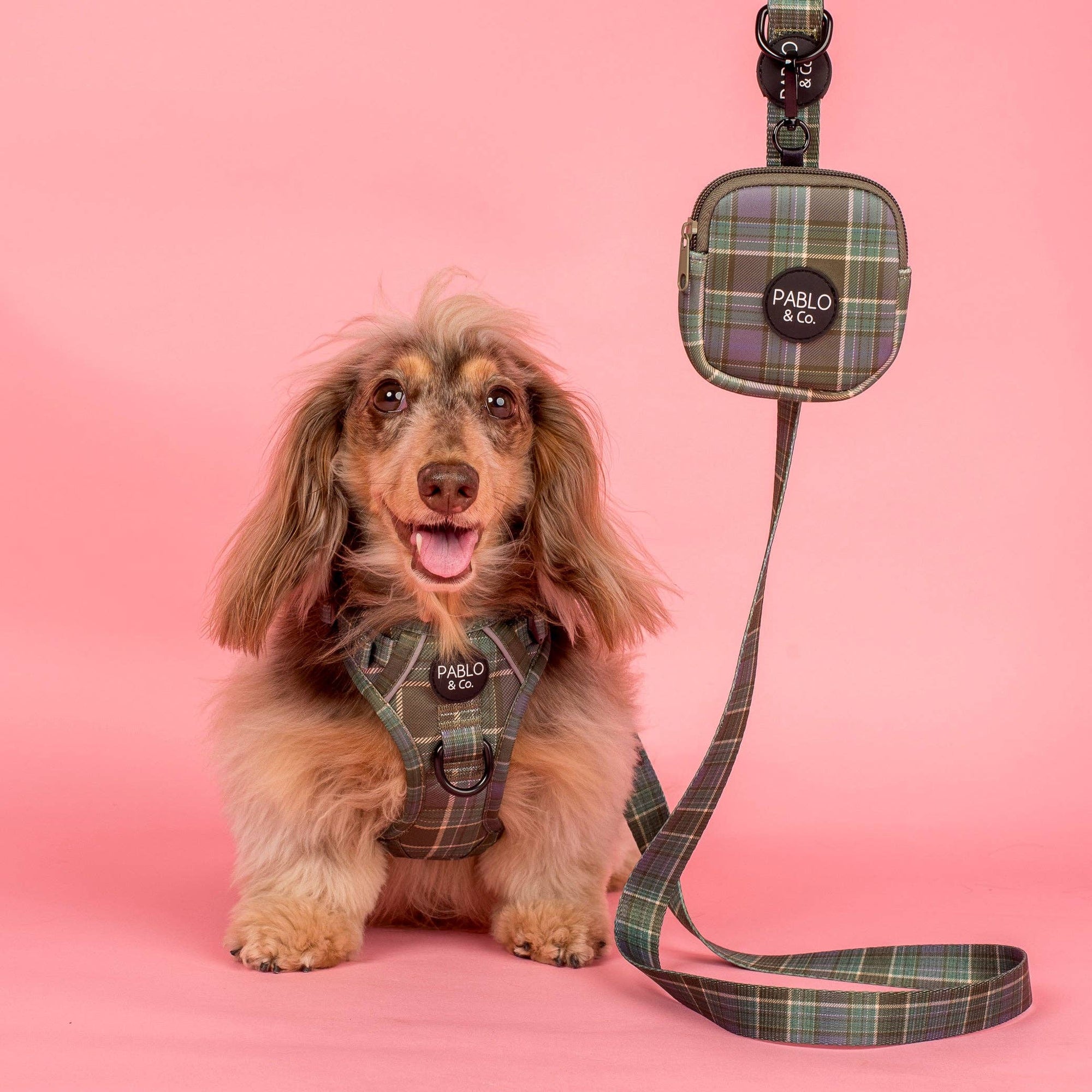 Green Plaid: Treat Pouch