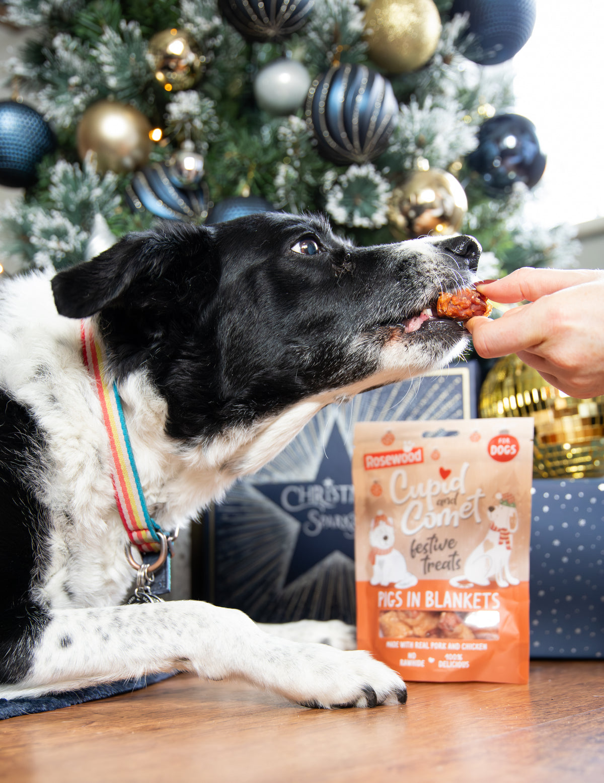 Pigs in Blankets for Dogs